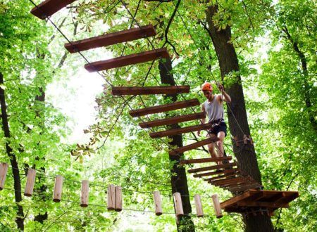 Tree climbing