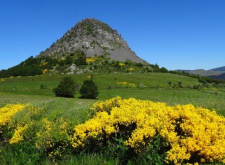 Mont Gerbier de Jonc