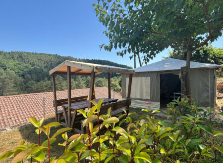 Canvas Bungalow Écureuil