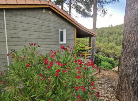 Chalet Romarin