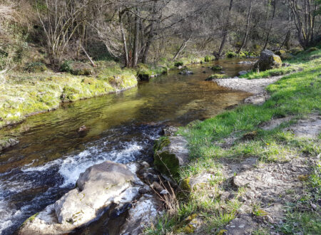 Le Sandron river