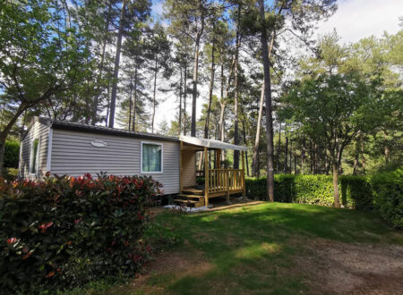 Hirondelle Mobile Home Hirondelle Mobile Home
